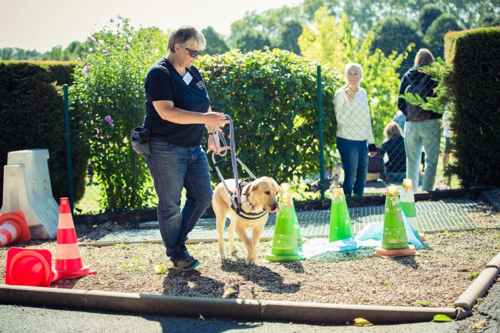 Une journée porte ouverte pour sensibiliser au rôle des chiens guides
