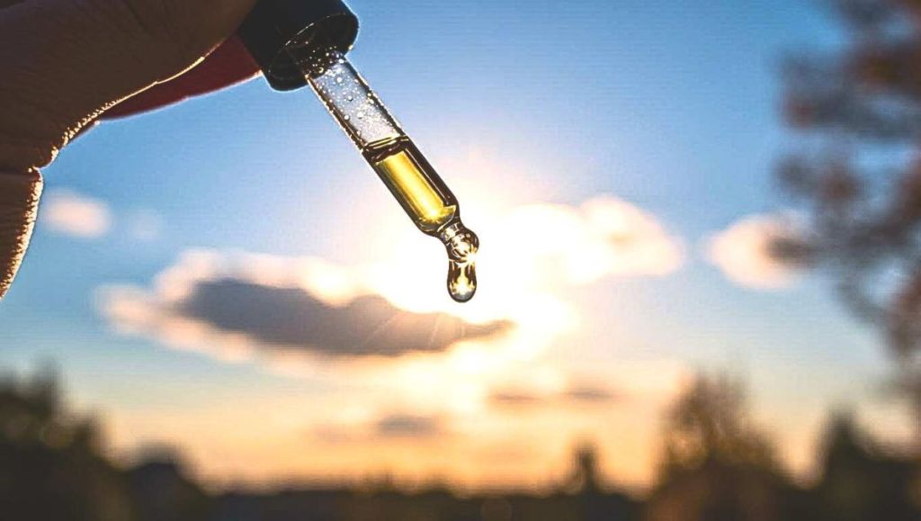 À l’arrivée de l’automne, ce réflexe santé discret mais puissant peut renforcer votre corps mieux que beaucoup de compléments