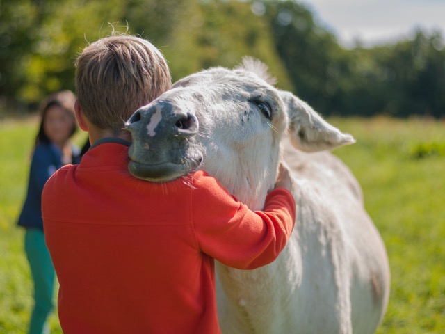 Des rencontres pour faire connaître tous les bienfaits des ânes