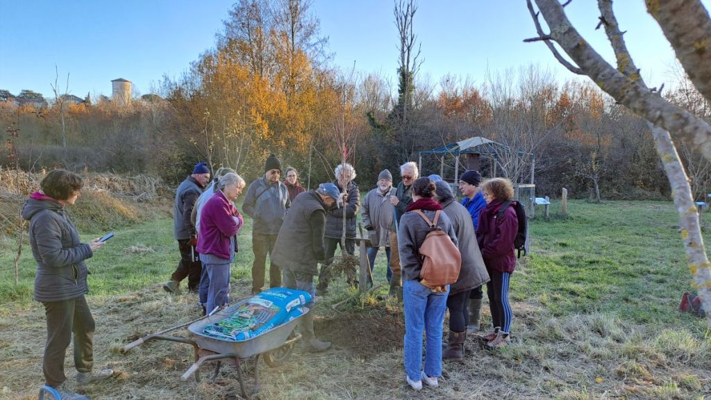 Jardiner au naturel grâce à l’agroécologie avec Jardin Nature Pibrac