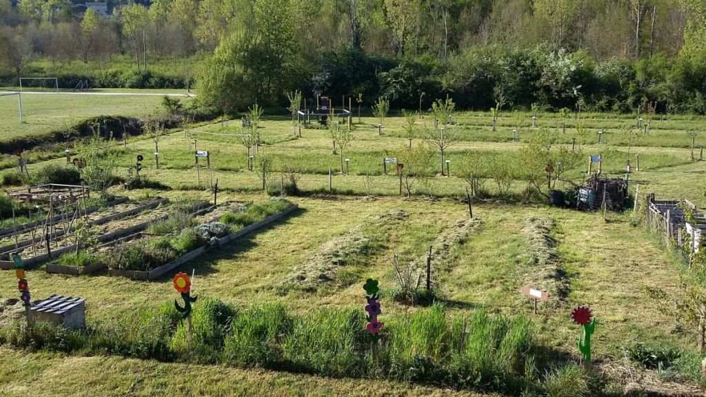 Jardiner au naturel grâce à l’agroécologie avec Jardin Nature Pibrac