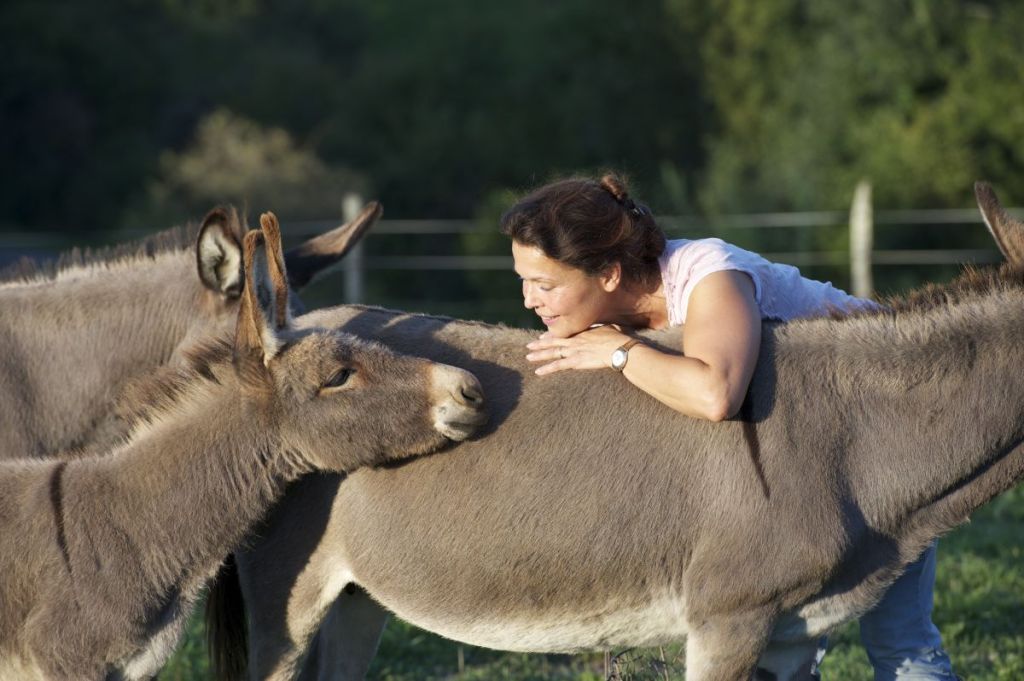 Landes : Turs’âne, des cosmétiques au lait d’ânesse 100% bio