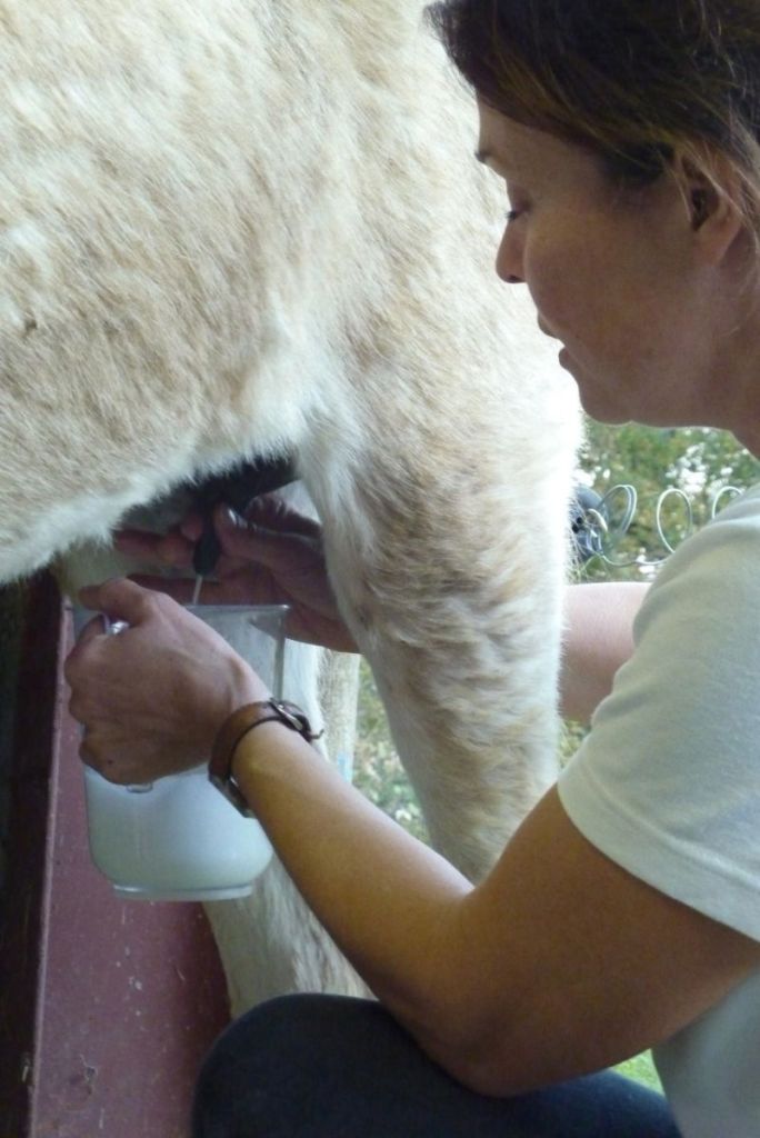 Landes : Turs’âne, des cosmétiques au lait d’ânesse 100% bio