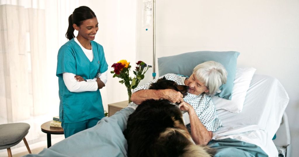 Toulouse : Des animaux de compagnie pour soutenir les patients en réanimation