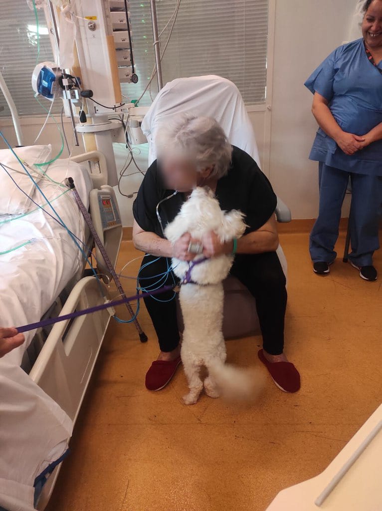 Toulouse : Des animaux de compagnie pour soutenir les patients en réanimation