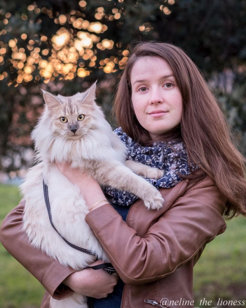 Un livre pour nourrir correctement son chat, sans culpabiliser