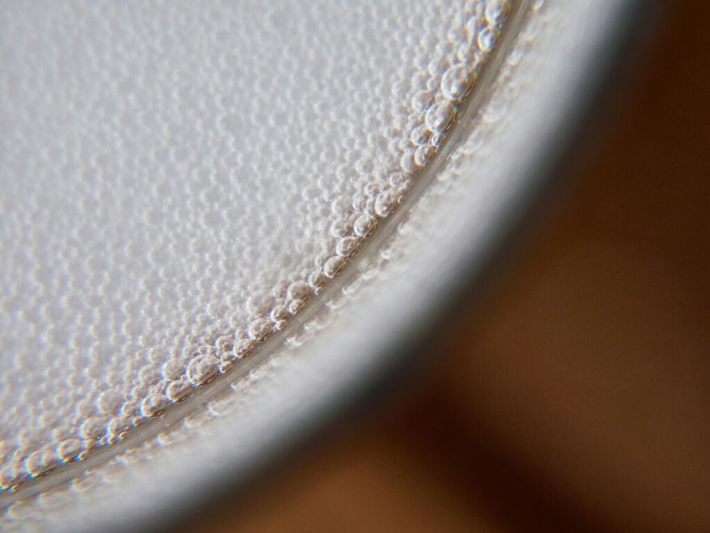 Le Kéfir, un allié du Dry January et de votre microbiote