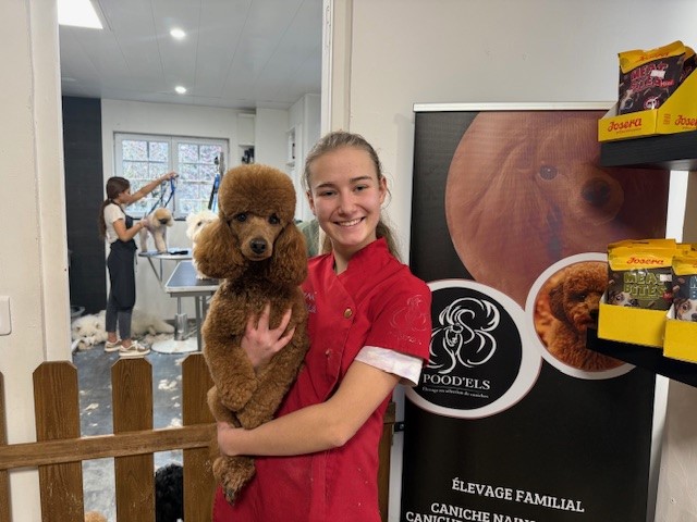 A 18 ans, Léa est toiletteuse pour chiens passionnée et multi médaillée