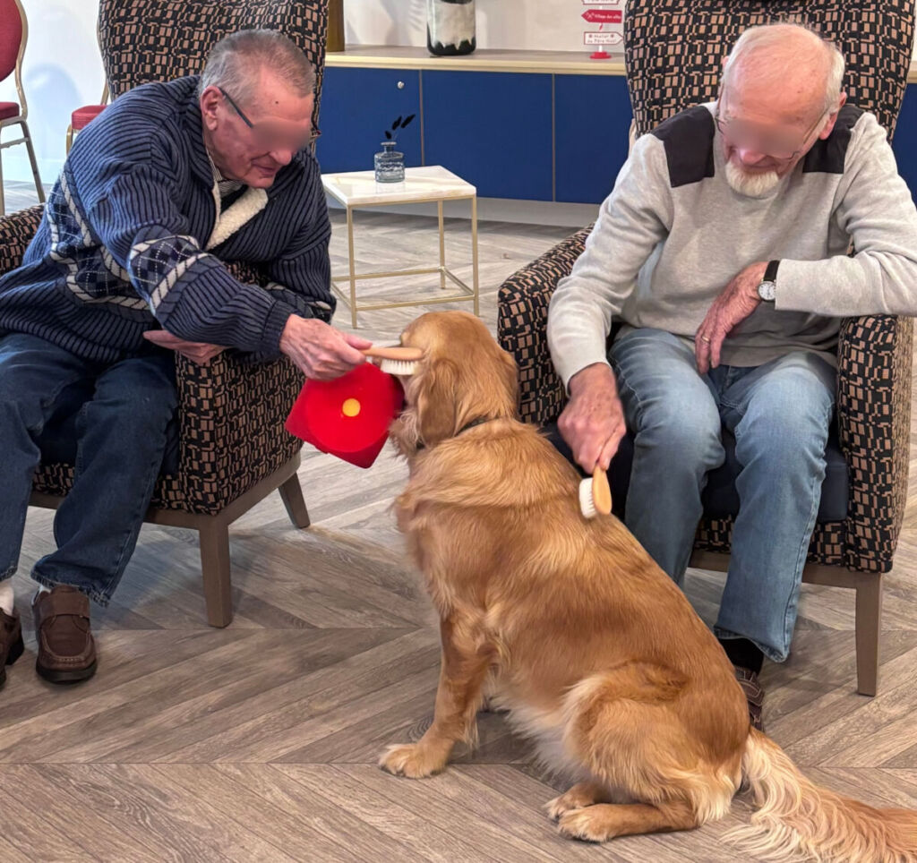 Oise : avec son Golden Retriever, elle intervient en EHPAD