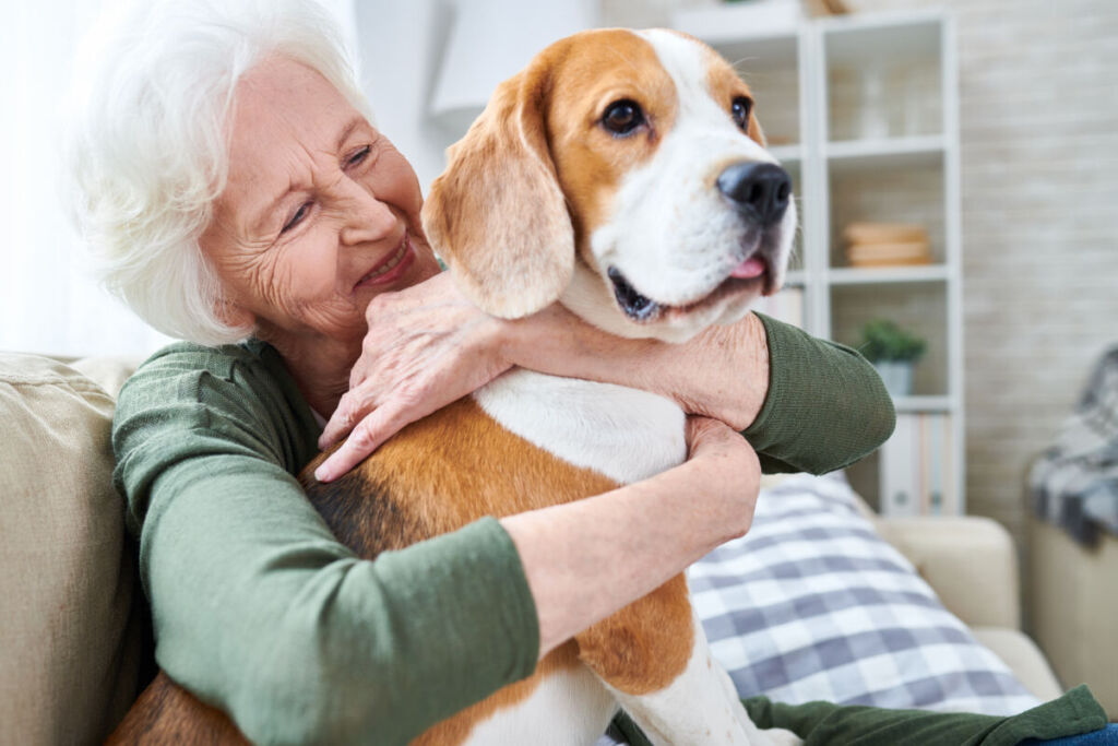 Seniors et animaux : les bienfaits d’une compagnie quotidienne