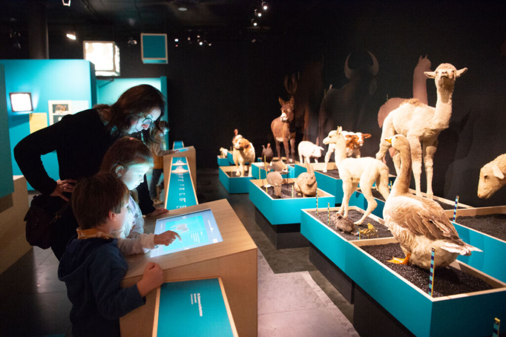 Toulouse : Cette expo interroge la domestication animale et végétale