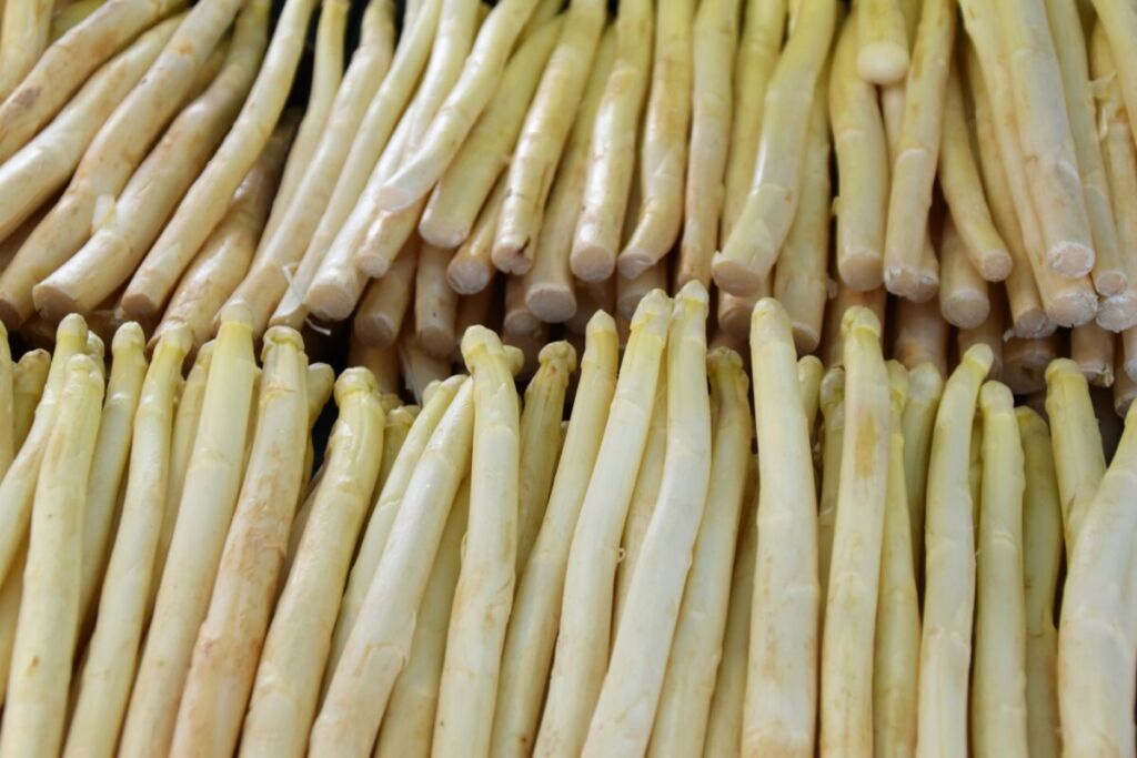 En Alsace, la récolte des asperges a démarré sous un beau soleil