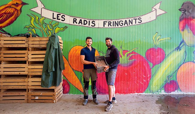 Les Radis Fringants, une ferme maraîchère 100% bio en pleine expansion