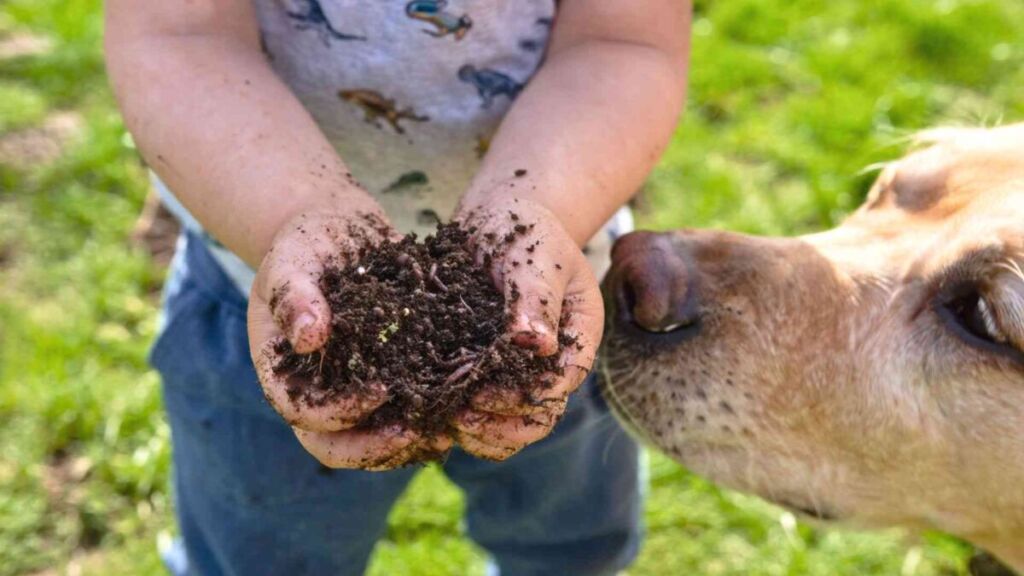 Pourquoi les enfants de la ferme ont jusqu’à 80 % moins de risques d’asthme et d’eczéma que les citadins