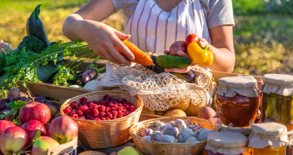 Comment l’alimentation influence-t-elle réellement notre microbiote intestinal ?