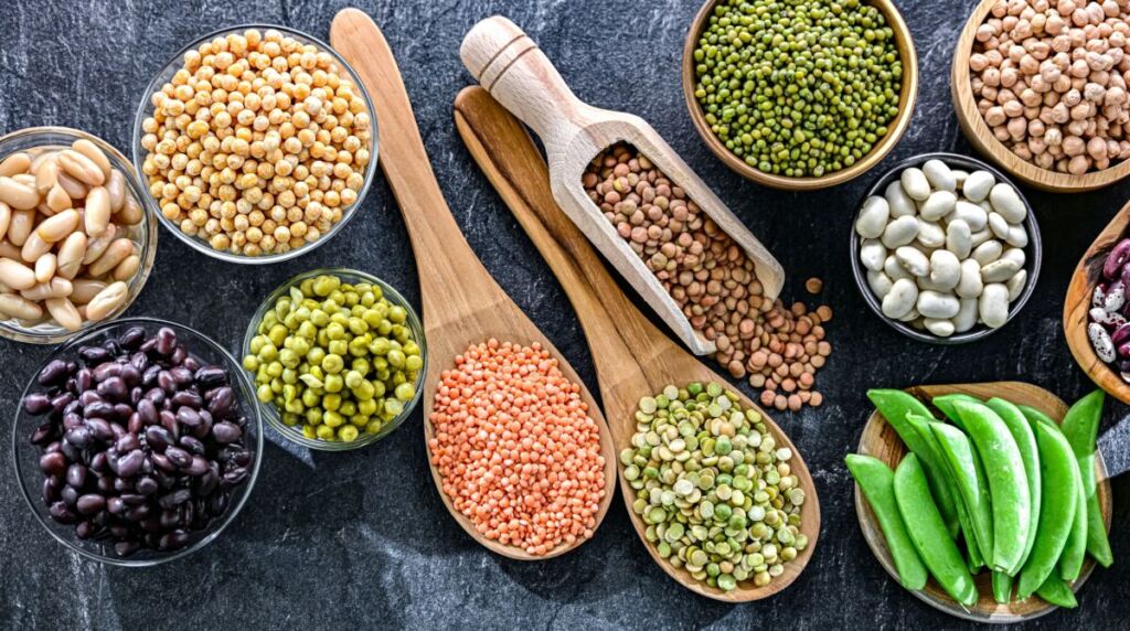 Quelles sont les meilleures protéines végétales pour une vitalité durable ?
