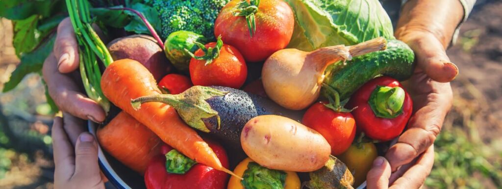 Légumes de saison : le guide complet pour choisir par mois