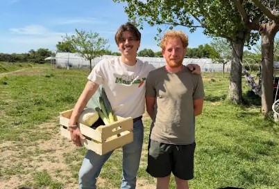 Montpellier : Le bio accessible à tous les publics avec les paniers Marius