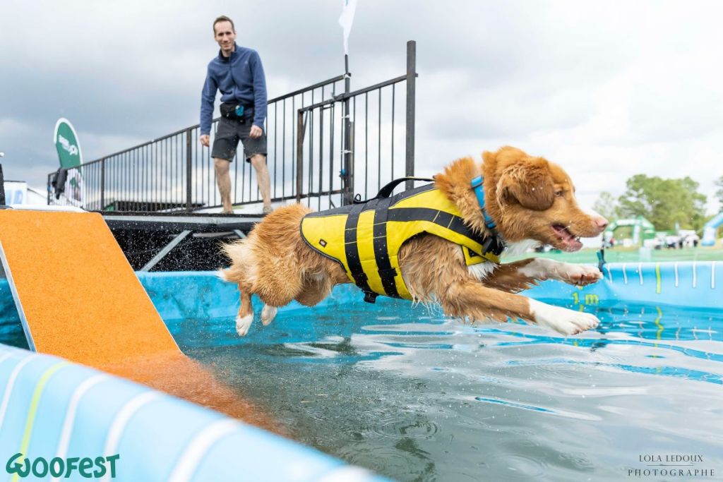 Le festival canin Woofest met à l’honneur nos toutous préférés