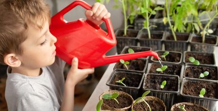 Noël : un calendrier de l’avent spécial potager extraordinaire