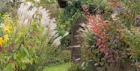 coach jardin Jardin de Luchane