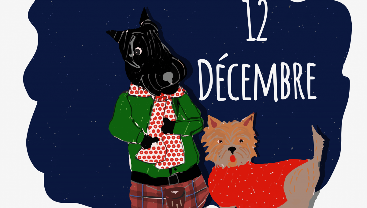 12_DECEMBRE_ILLUST.png