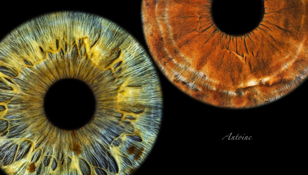 Lyon : Capter l’iris pour en faire une œuvre d’art avec Eyemazy