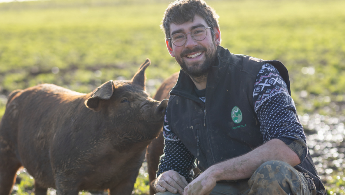 Quentin sur son élevage de cochon Duroc en plein air.