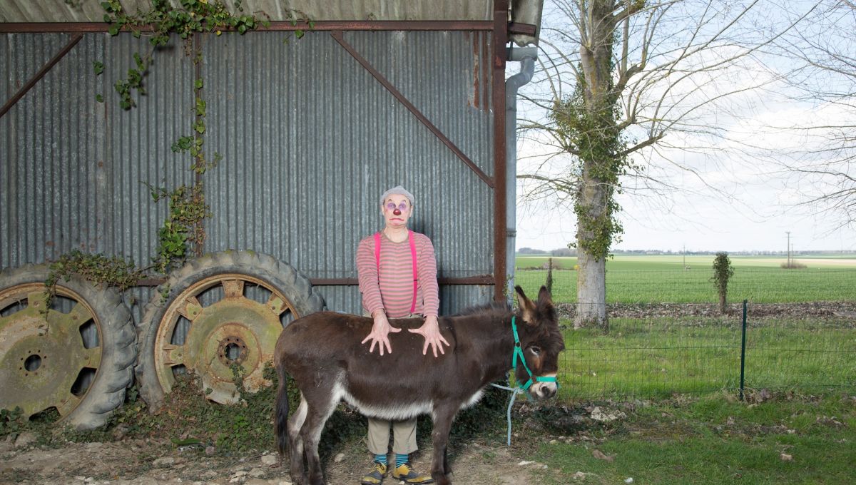 Un clown avec un âne