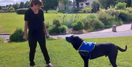 Manche : le chien Ravel soutient les enfants victimes de violences