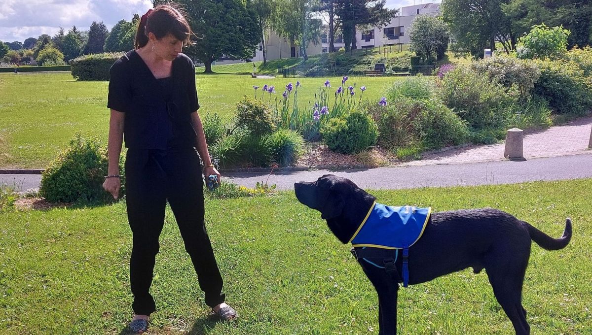 Manche : le chien Ravel soutient les enfants victimes de violences
