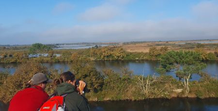 Vue en hauteur depuis la tour à la Réserve Ornithologique de la Teich en Gironde. Ony voit des lacs et de la végétation. Deux personnes de dos sont en train d'observer les oiseaux