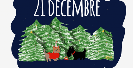 21_DECEMBRE_ILLUST.png