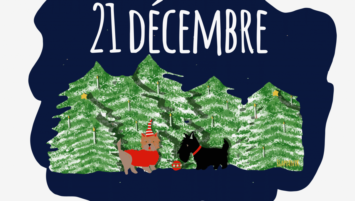 21_DECEMBRE_ILLUST.png
