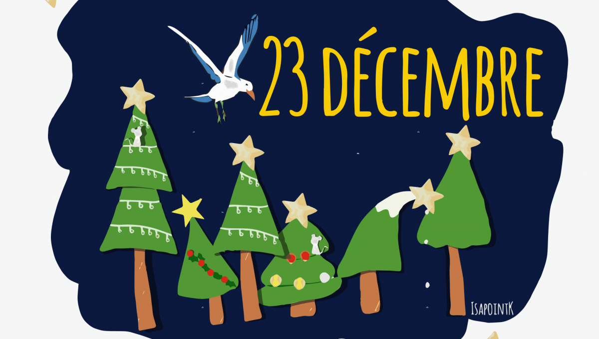 23_DECEMBRE_ILLUST.png