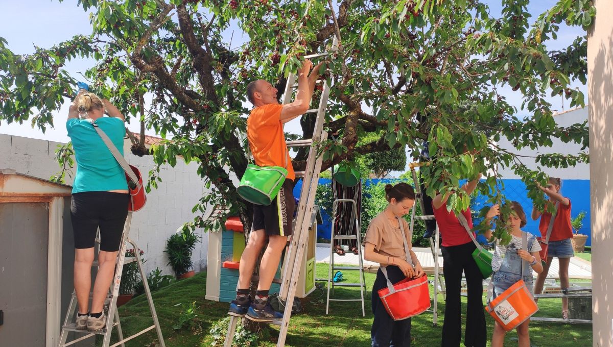 Aux arbres citoyens