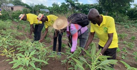 Quatre haïtiens surveillent la qualité des plantations (DR/Haïti En Vie)