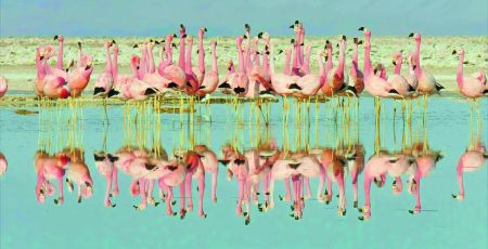 la vie en couleurs