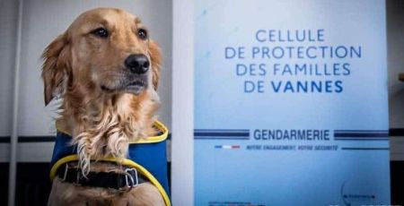 chien assistance judiciaire