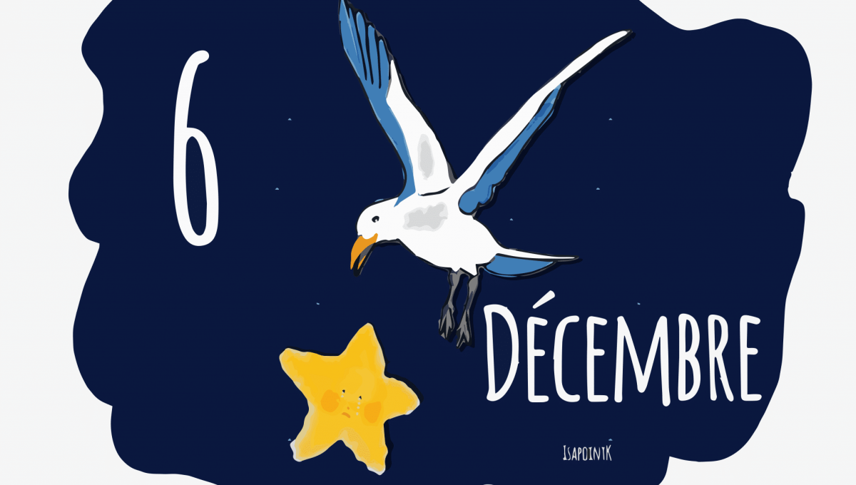 6_DECEMBRE.png