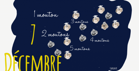 7_DECEMBRE.png