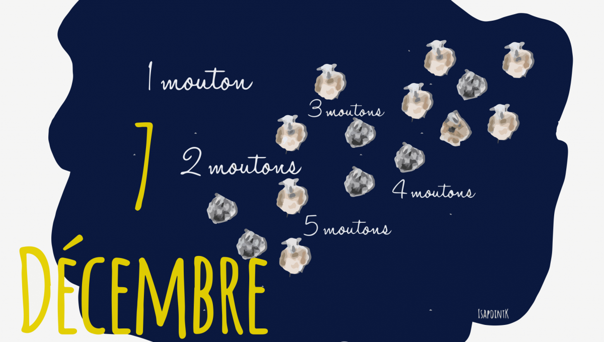 7_DECEMBRE.png