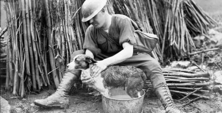 Un soldat canadien avec son chien lors de la Seconde Guerre mondiale