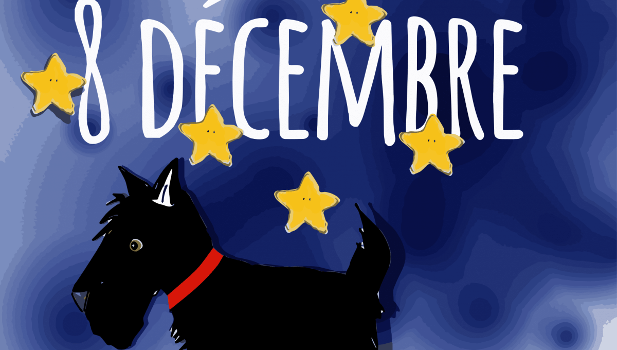 8_DECEMBRE_.png