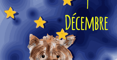 9_DECEMBRE.png