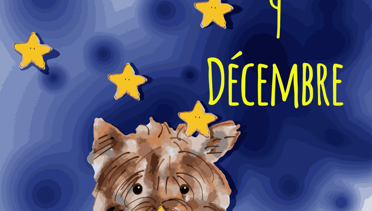 9_DECEMBRE.png