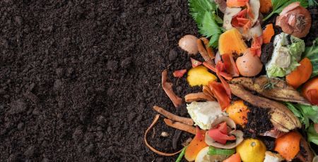 Biodéchet : Professionnels, vous avez de l’or entre vos mains !