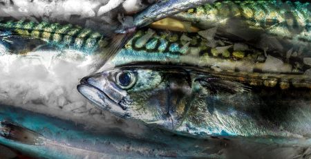 Ethic Ocean, comment bien choisir ses produits de la mer ?