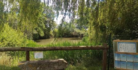 ARCANIA