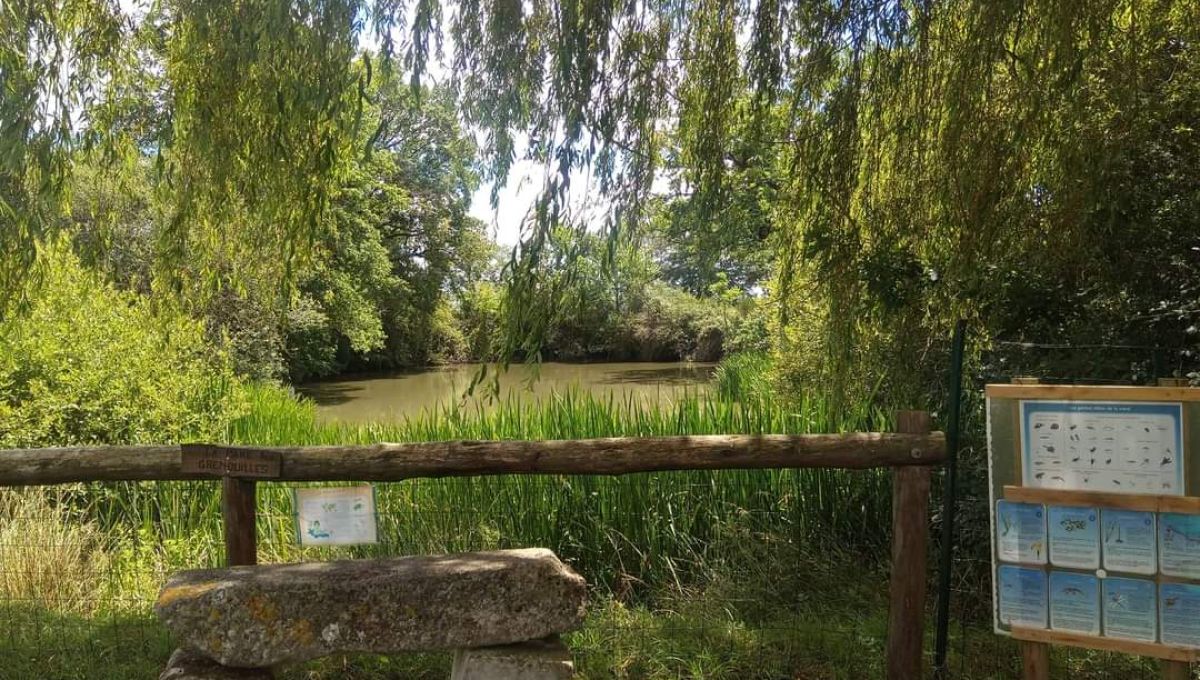 ARCANIA